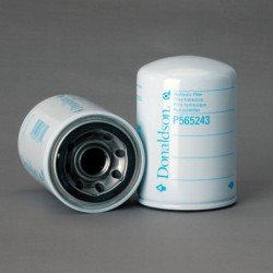 P565243