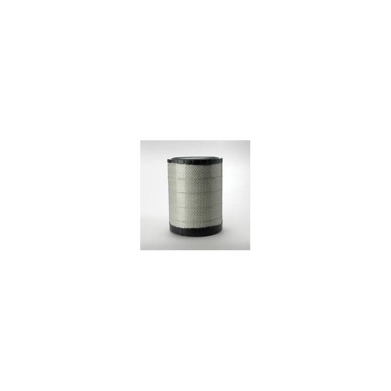 P613336 - [AIR FILTER DONALDSON..]