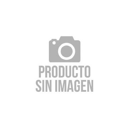 FS19573 - [FILTRO DE COMBU. C- CA..]